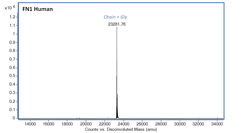 Mass Spectrometry - Recombinant Human Fibronectin protein (AB283423), expandable thumbnail