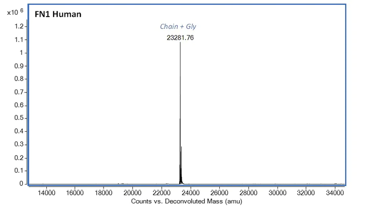 Mass Spectrometry - Recombinant Human Fibronectin protein (AB283423)