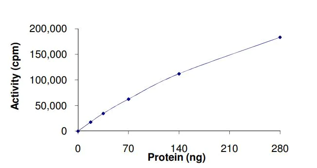 Functional Studies - Recombinant human Flt3 / CD135 (mutated D835Y) protein (Active) (AB268580)