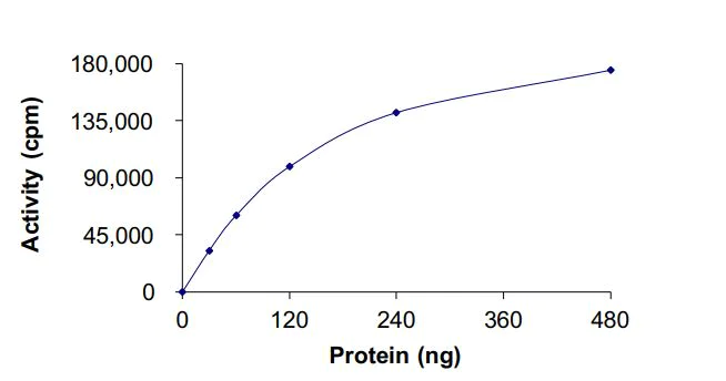 Functional Studies - Recombinant human Flt3 / CD135 (mutated N676K) protein (Active) (AB268583)
