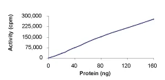 Functional Studies - Recombinant human Flt3 / CD135 protein (AB55709)