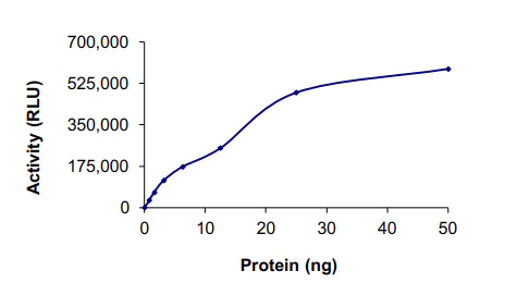 Functional Studies - Recombinant human Flt3 / CD135 protein (AB55709)