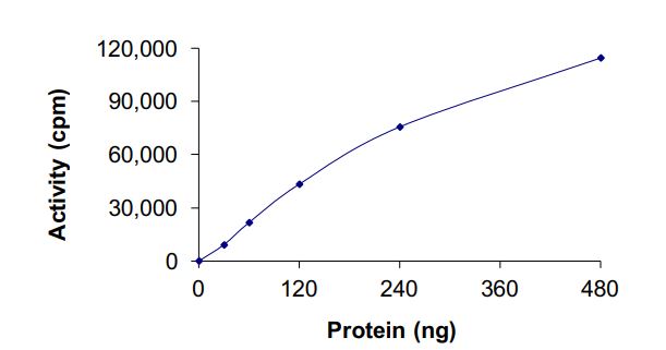 Functional Studies - Recombinant human Flt3 / CD135 protein (L610_E611insCSSDNEYFYVDFREYEYDLKWEF-PRENL) (Active) (AB268586), expandable thumbnail