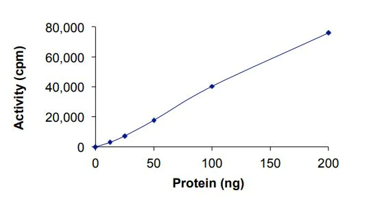 Functional Studies - Recombinant human Flt3 / CD135 (R595_E596insEY) protein (Active) (AB268584)