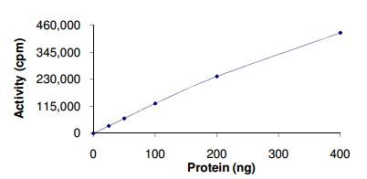 Functional Studies - Recombinant human Flt4 protein (AB126923)