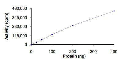 Functional Studies - Recombinant human Flt4 protein (AB126923)