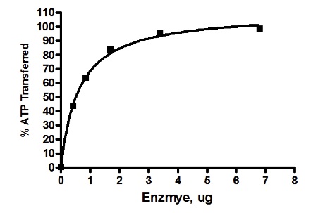 Functional Studies - Recombinant human FUK protein (AB198052)