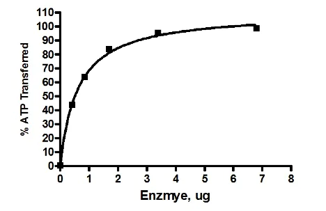 Functional Studies - Recombinant human FUK protein (AB198052)