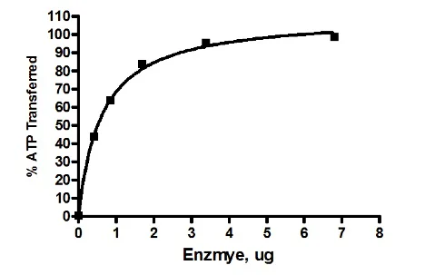 Functional Studies - Recombinant human FUK protein (DDDDK tag N-Terminus) (AB198052)