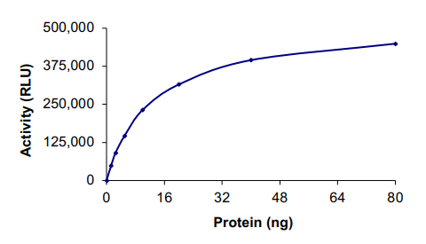 Functional Studies - Recombinant human Fyn protein (AB84696), expandable thumbnail