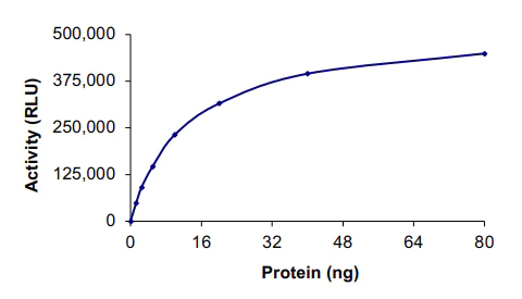 Functional Studies - Recombinant human Fyn protein (AB84696)
