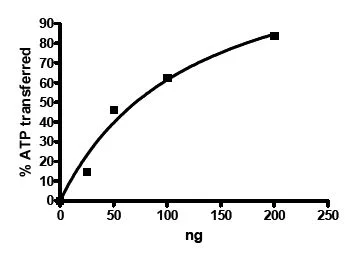 Functional Studies - Recombinant human Fyn protein (DDDDK tag N-Terminus) (AB135007)