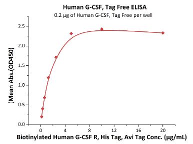 Functional Studies - Recombinant human G-CSF protein (AB167700), expandable thumbnail