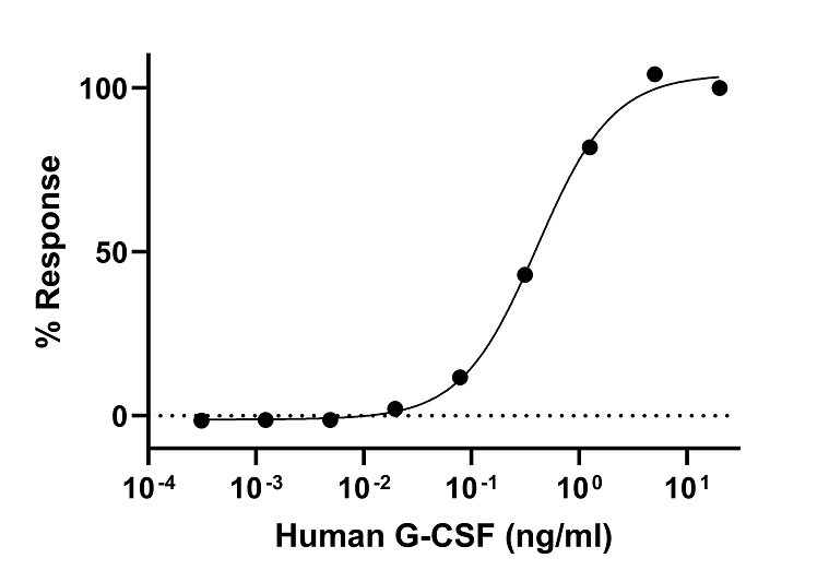 Biological Activity - Recombinant Human G-CSF Protein (Active) (AB307484)