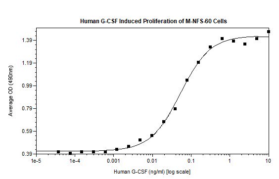 Recombinant human G-CSF protein (Animal Free)