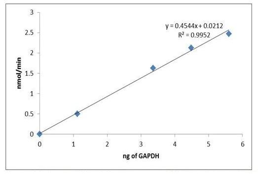 Functional Studies - Recombinant human GAPDH protein (Active) (AB291253)