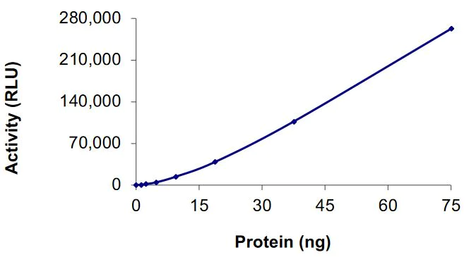 Functional Studies - Recombinant human GCN2 protein (Active) (AB268520)