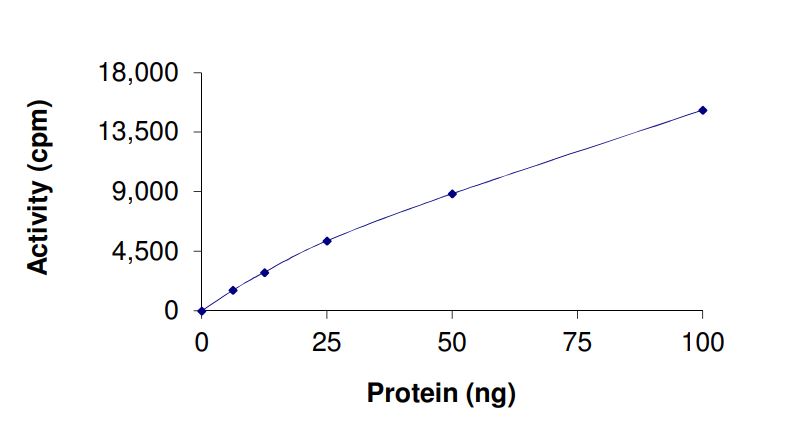 Recombinant human GCN5L2 protein (Active)
