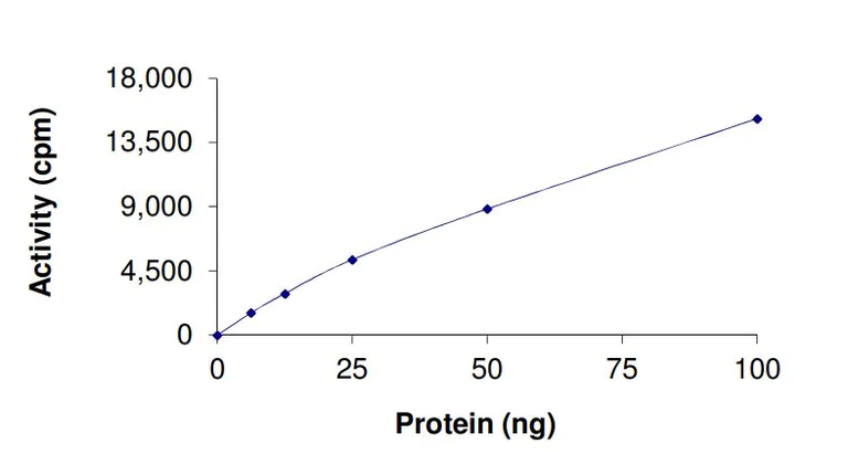 Functional Studies - Recombinant human GCN5L2 protein (Active) (AB268694)