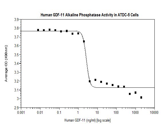 Functional Studies - Recombinant human GDF11 protein (Active) (AB218080), expandable thumbnail