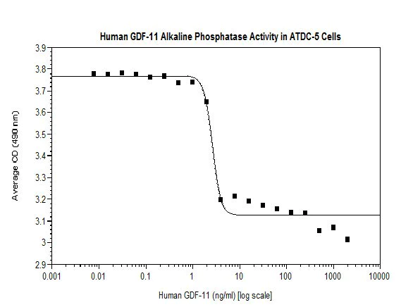 Functional Studies - Recombinant human GDF11 protein (Active) (AB218080)