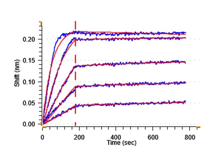 Biological Activity - Recombinant Human GDF15 protein (Active) (AB302451)