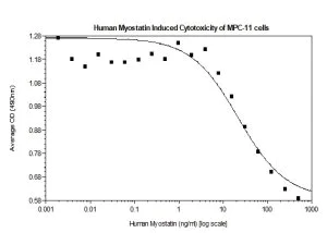 Functional Studies - Recombinant human GDF8 / Myostatin protein (Active) (AB269163)