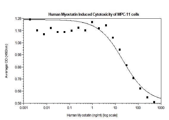 Functional Studies - Recombinant human GDF8 / Myostatin protein (Animal Free) (AB256090), expandable thumbnail