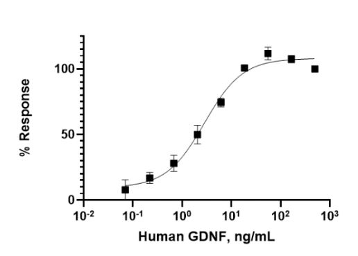 Functional Studies - Recombinant human GDNF protein (Active) (AB259417), expandable thumbnail