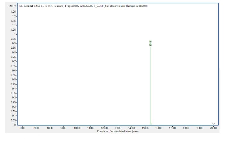 Mass Spectrometry - Recombinant human GDNF protein (Active) (AB259417), expandable thumbnail