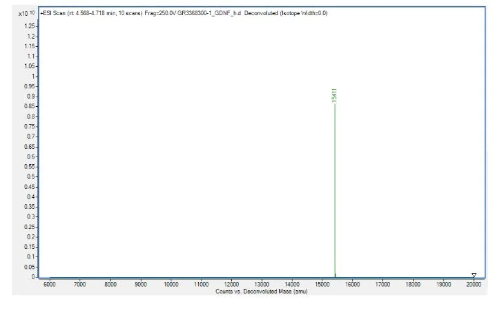 Mass Spectrometry - Recombinant human GDNF protein (Active) (AB259417)