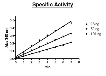 Functional Studies - Recombinant human Glutaminase protein (His tag N-Terminus) (AB198065)