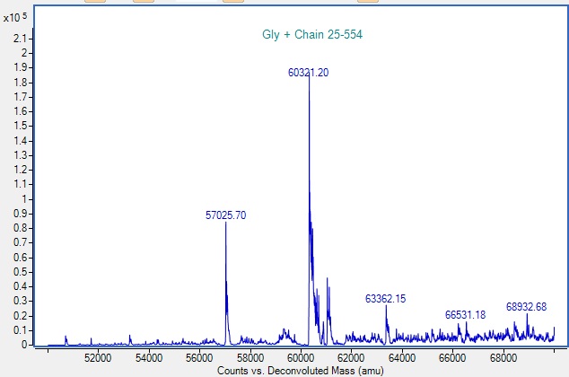 Mass Spectrometry - Recombinant Human Glypican 3 Protein (AB290056)