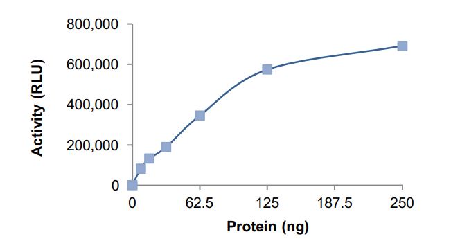 Functional Studies - Recombinant human GNAI1 protein (Active) (AB268599)