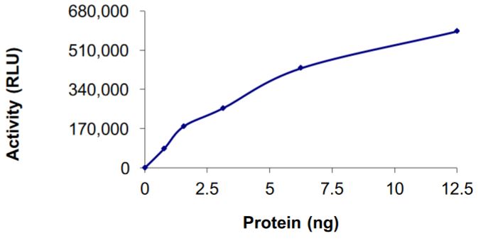 Functional Studies - Recombinant human GPSN2-PKN1 fusion protein (Tagged) (AB269032)