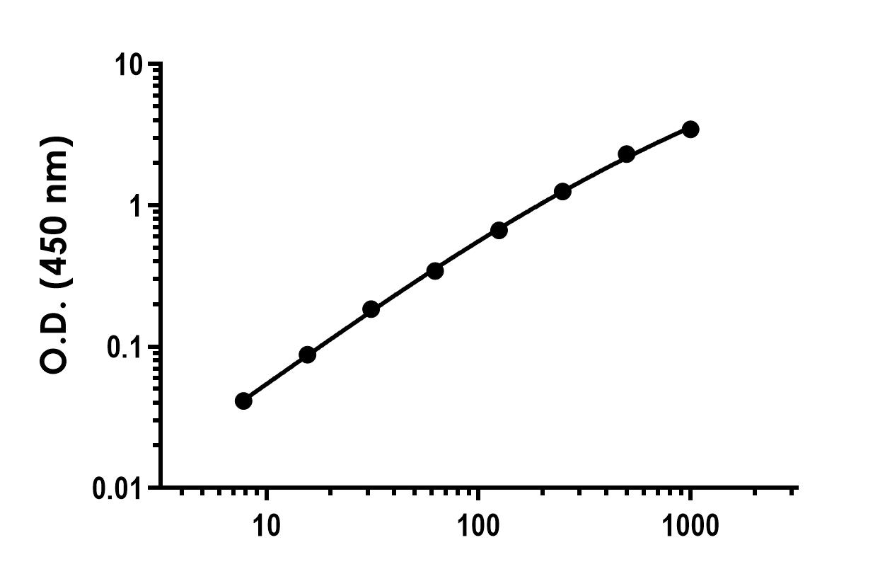 Sandwich ELISA - Recombinant Human Granzyme A Protein Standard (His tag) (AB316442)