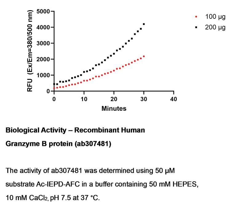 Biological Activity - Recombinant Human Granzyme B Protein (His tag) (AB307481)