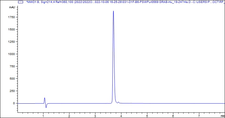 HPLC - Recombinant Human Granzyme B Protein (His tag) (AB307481), expandable thumbnail