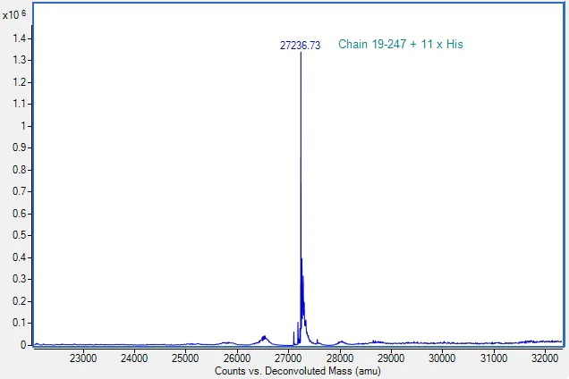 Mass Spectrometry - Recombinant Human Granzyme B Protein (His tag) (AB307481)