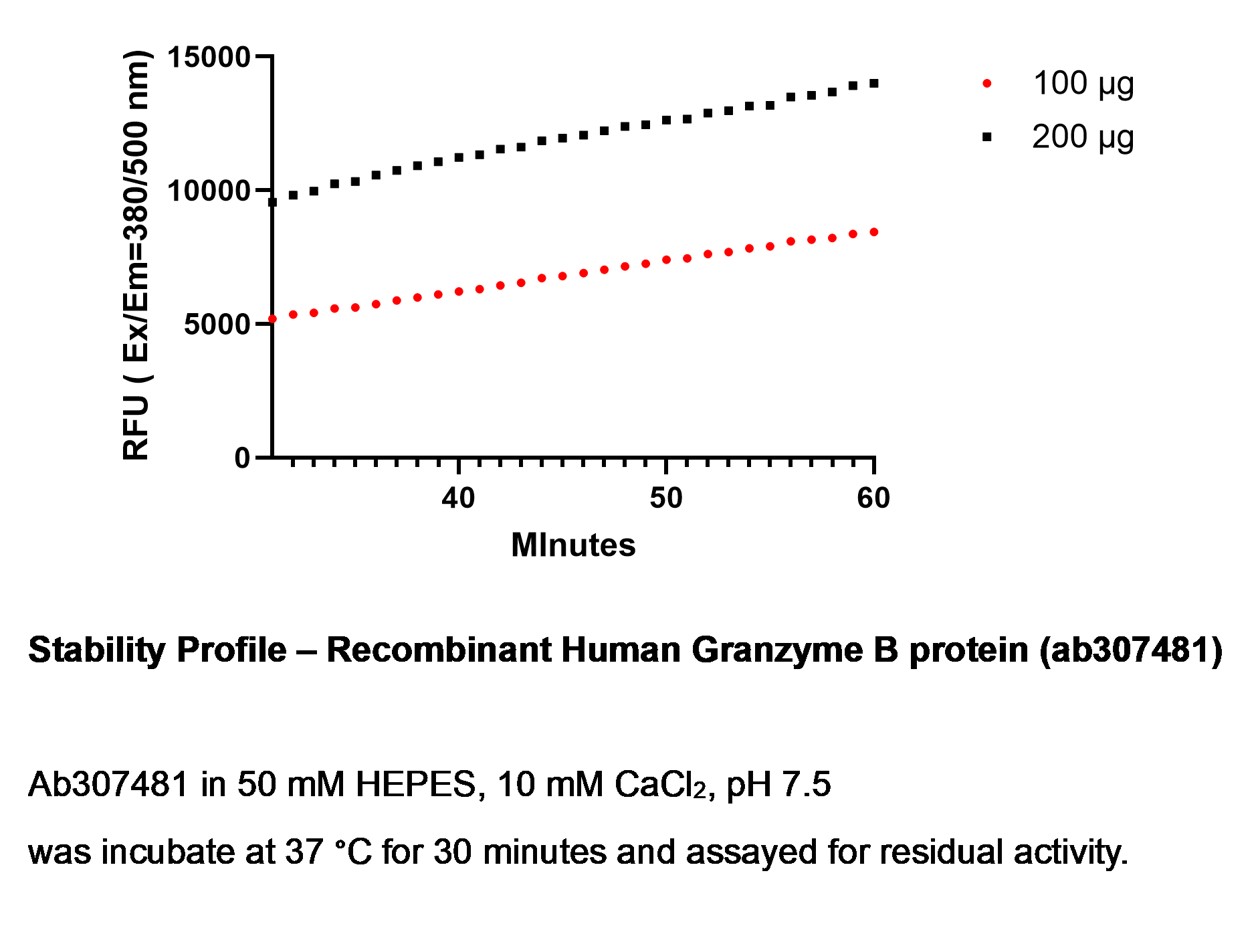 Other - Recombinant Human Granzyme B Protein (His tag) (AB307481), expandable thumbnail