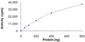 Functional Studies - Recombinant human GRK1 protein (AB105126), expandable thumbnail