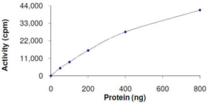 Functional Studies - Recombinant human GRK1 protein (AB105126)