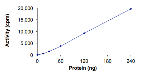 Recombinant human GRK2 protein