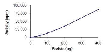 Functional Studies - Recombinant human GRK6 protein (AB125576)