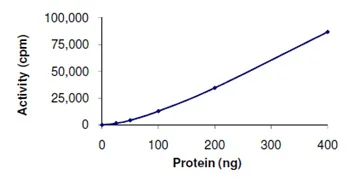 Functional Studies - Recombinant human GRK6 protein (GST tag N-Terminus) (AB125576)