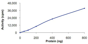 Functional Studies - Recombinant human GRK7 protein (AB125599)