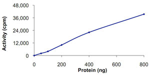 Functional Studies - Recombinant human GRK7 protein (AB125599)