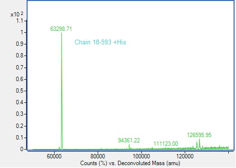 Mass Spectrometry - Recombinant Human GRN Protein (His tag) (AB313363)
