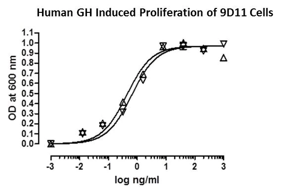 Functional Studies - Recombinant human Growth Hormone protein (AB116162)
