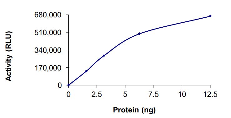 Recombinant human GST-Annexin-4/ANXA4-PKN fusion protein (Active)